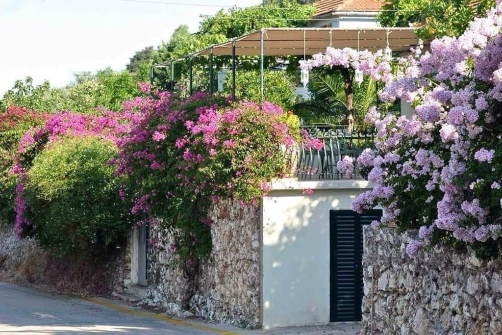 Konstantinas House, A Touch Of Nature & Sea * Ferendinata