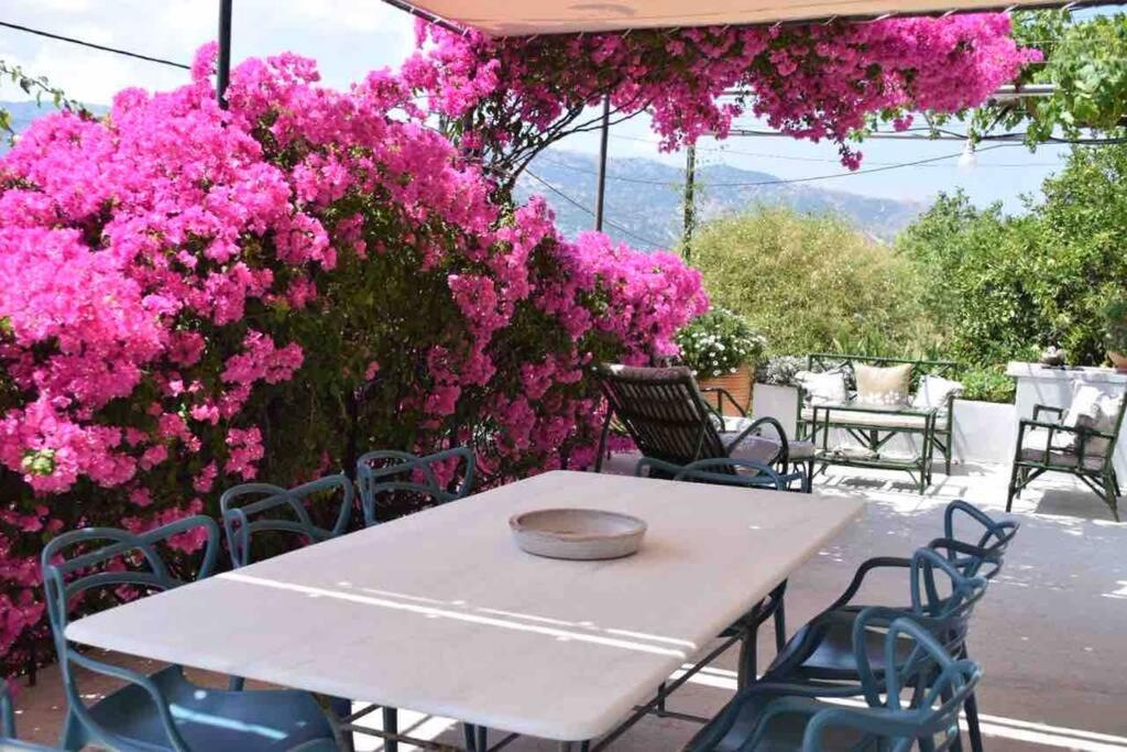 Ferienhaus Konstantinas House, A Touch Of Nature & Sea *
