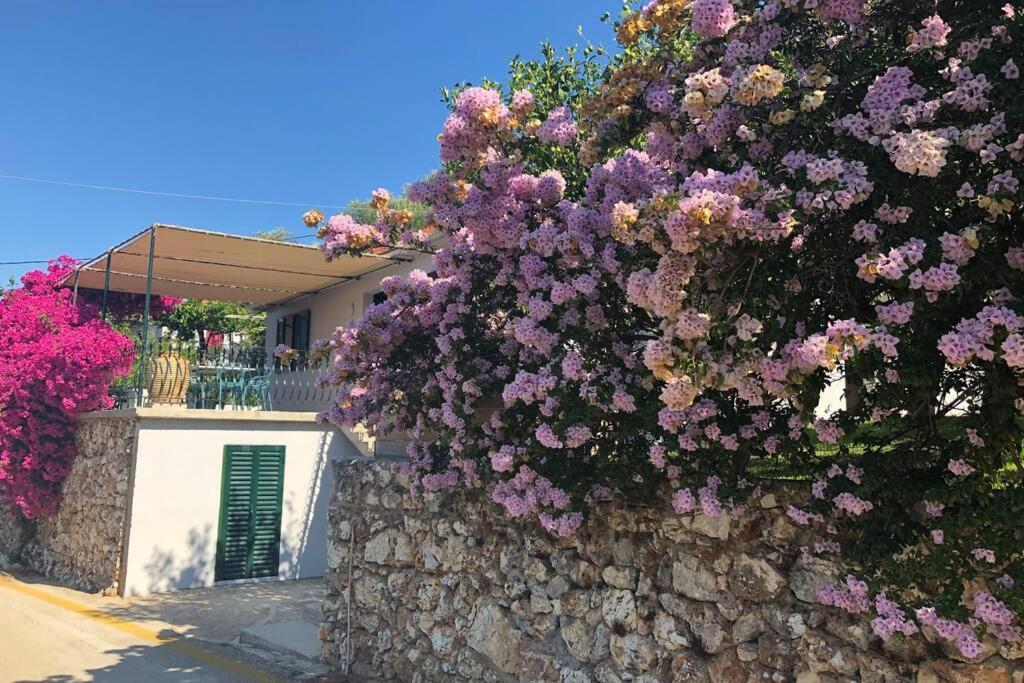 Konstantinas House, A Touch Of Nature & Sea